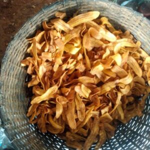 Riza - jack fruit chips