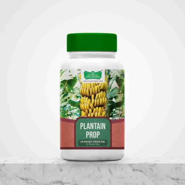 Homeopathic Fertilizer for Plantain Trees & Banana Trees